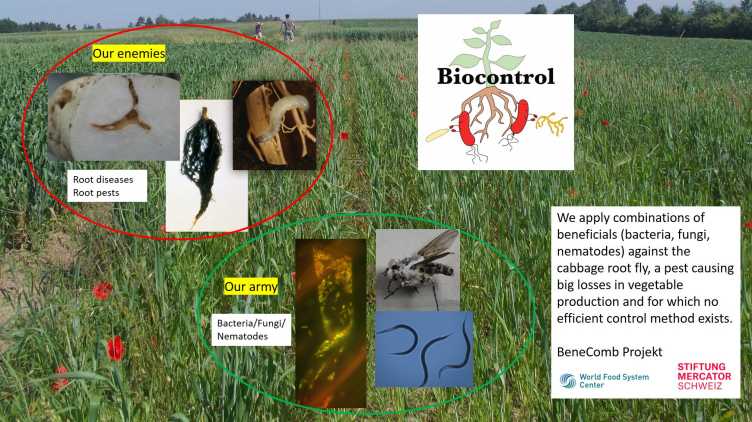 Enlarged view: Biocontrol
